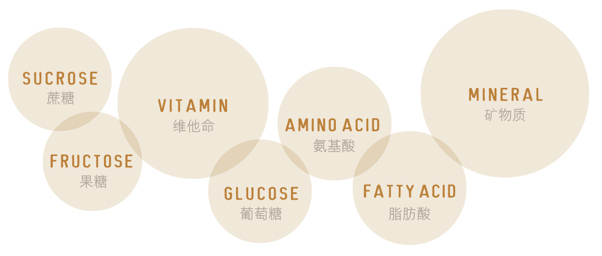 1593590591144605.png story1-2.png